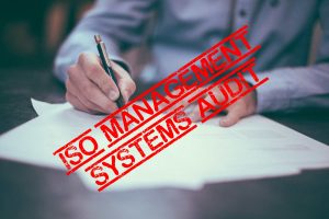 iso management audit bambus solutions